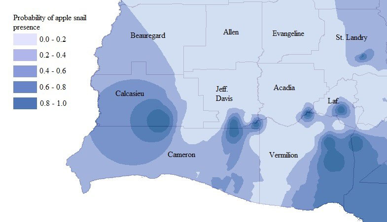 map shows where apple snails are in SW LA.jpg thumbnail